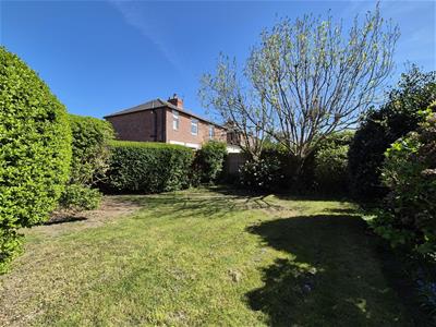 Picture 20